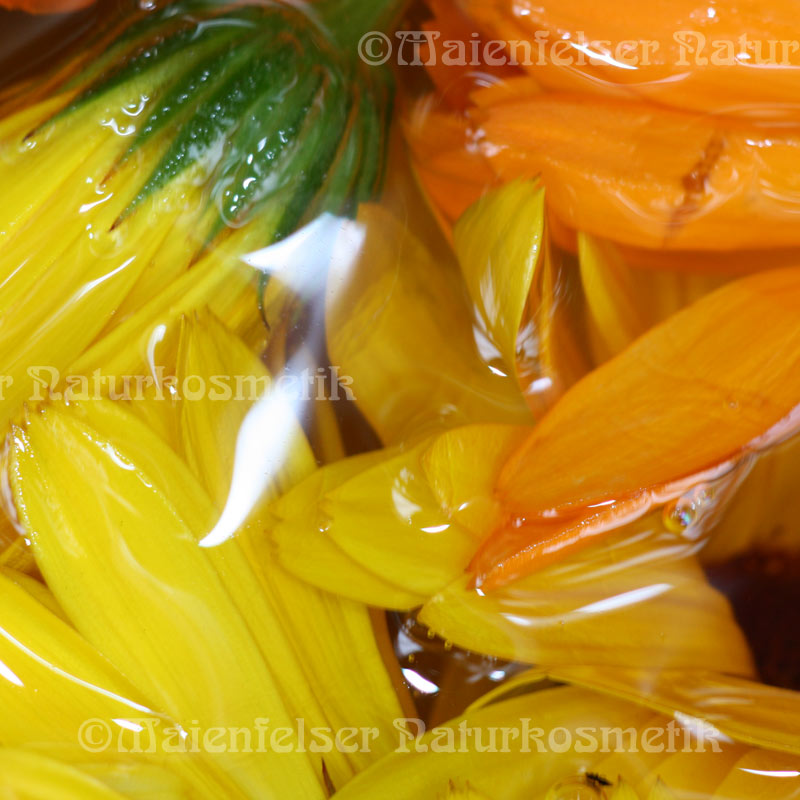 Ringelblumenblütenöl BIO (50 ml)