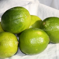 Limone BIO gepr. extra (10 ml)