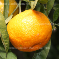 Orange süß stark (10 ml)