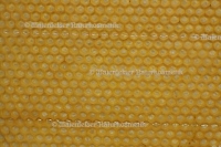 Bienenwachs abs. (2 ml)