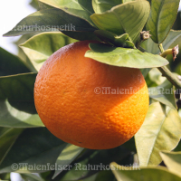 Orange süß - normal 10 ml
