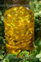 Johanniskraut - Olivenöl BIO